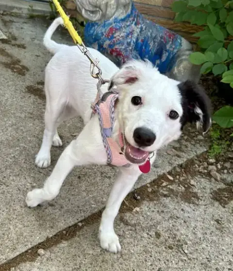 Lola May photo 2