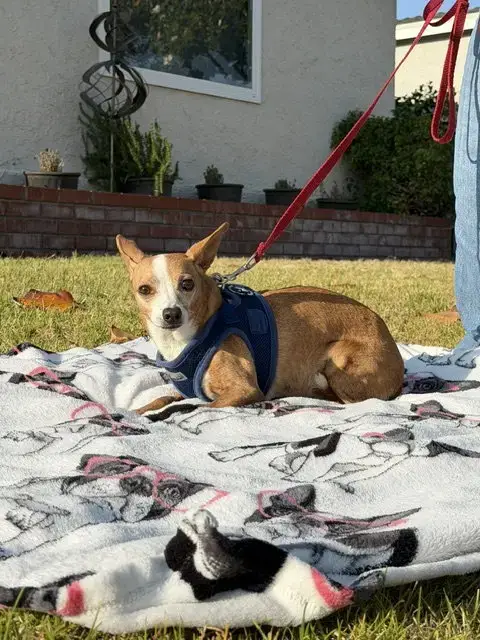 Sandy photo 2