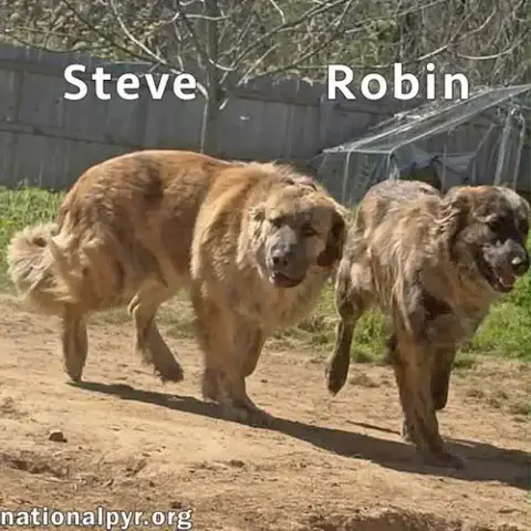 Steve & Robin In Tn