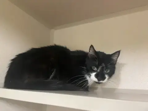 Carla