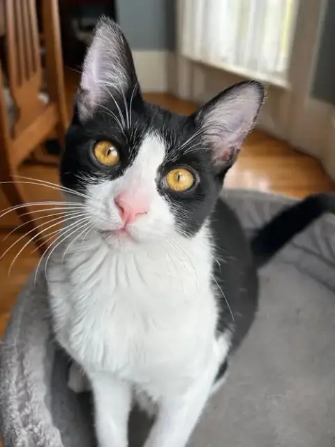 Katie
