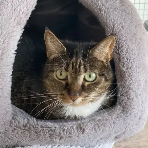 Millie photo 2