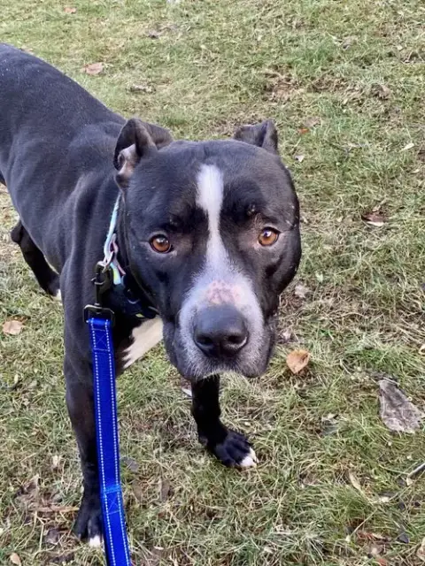 Vader photo 5