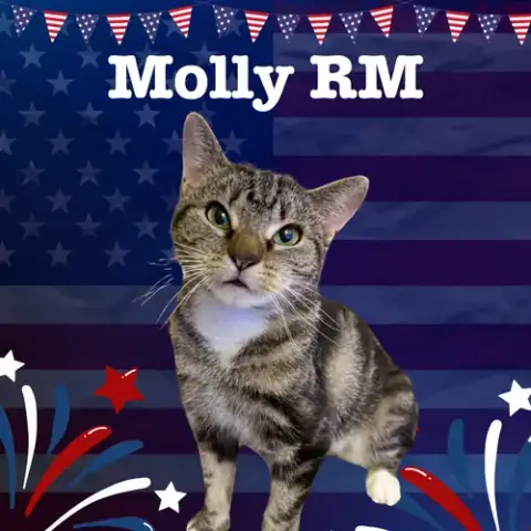 Molly Rm