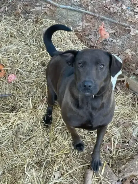 Mia