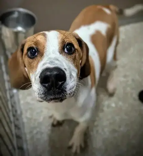 Tucker