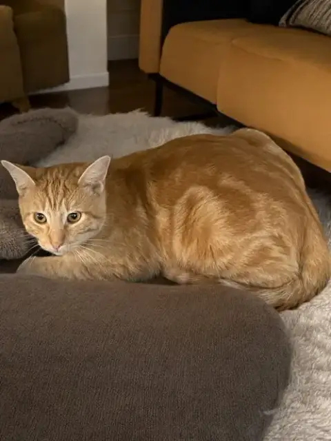 Winston photo 2