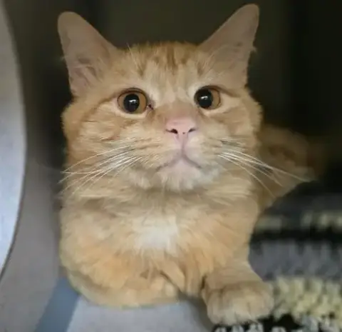 Sebastian