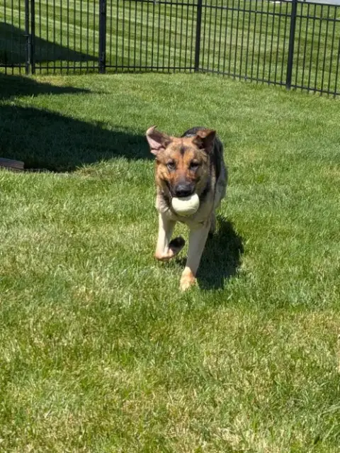 Luna photo 3