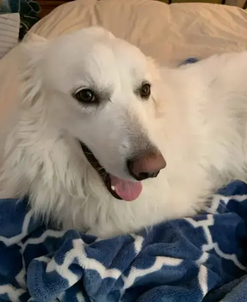 Sadie In Nh(Sponsored!) photo 2