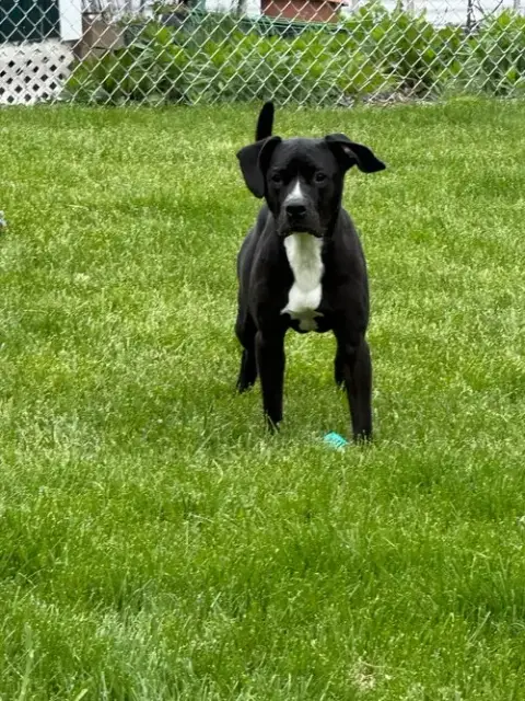Gunther photo 4