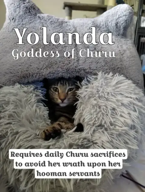 Yolanda photo 3