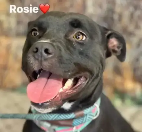 Rosie
