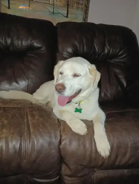 Herkie photo 2