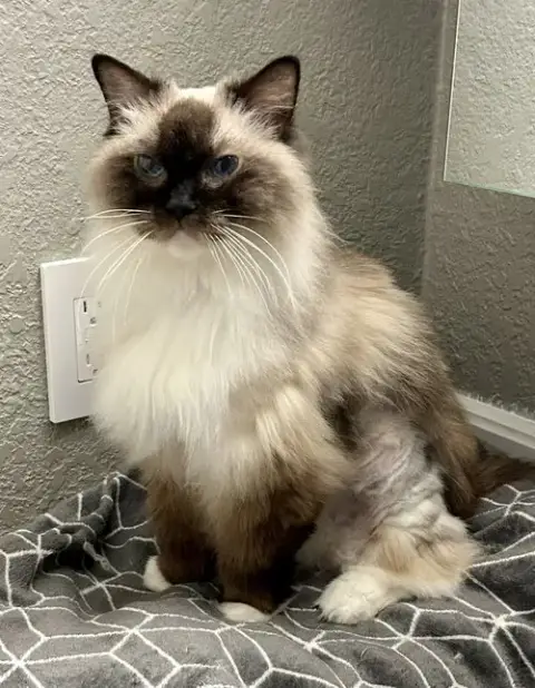 Maggie photo 2