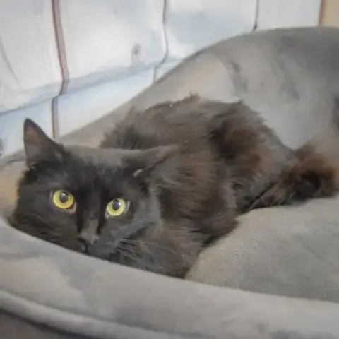 Betty photo 3