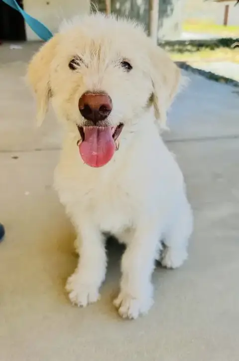 Murphy