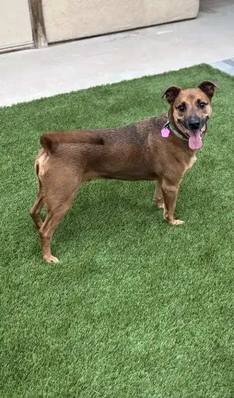 Max