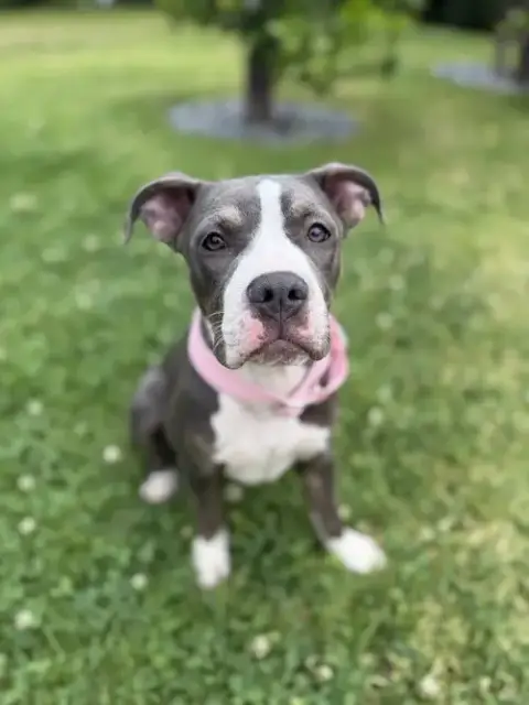 Zoe