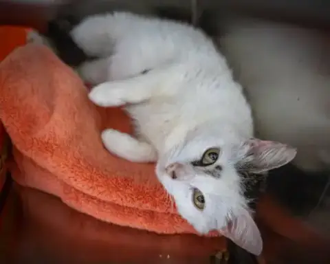 Penelope photo 3