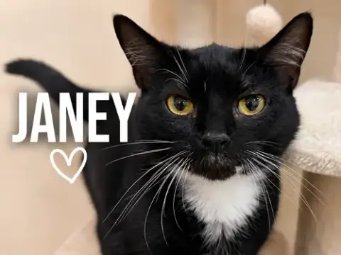 Janey