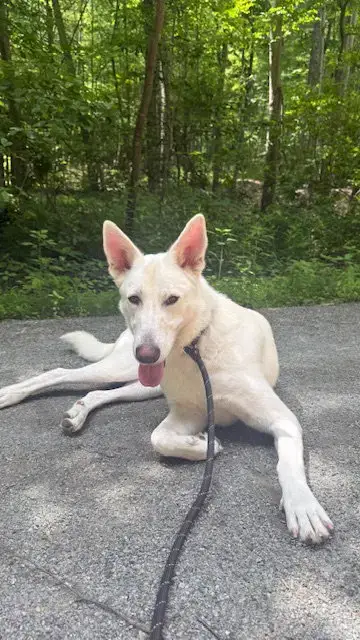 Luna photo 3