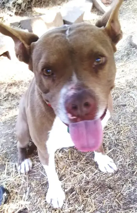 Holly photo 3