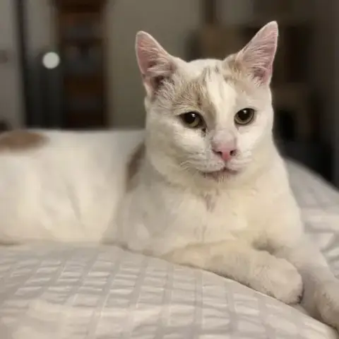Floyd