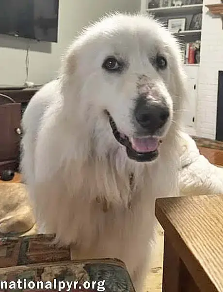 Shiloh In Sc photo 3