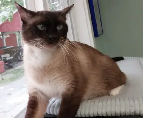 Harmony * In Foster *