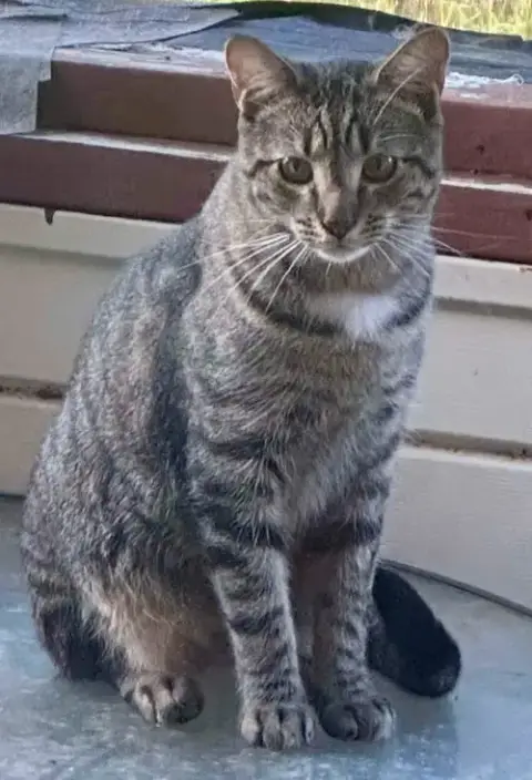 Moochie photo 2