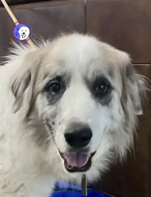Tucker