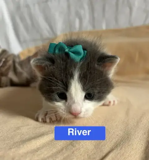 River