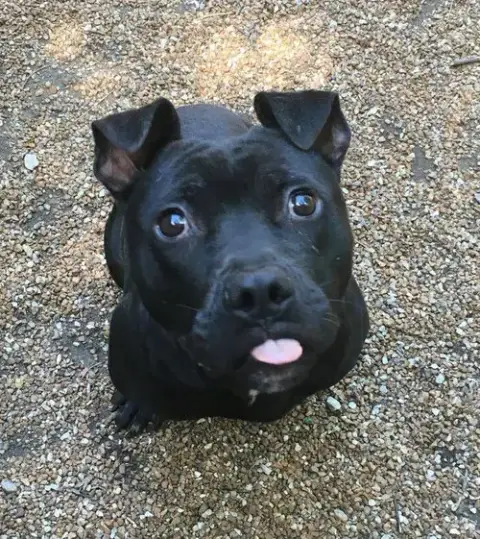 Jax