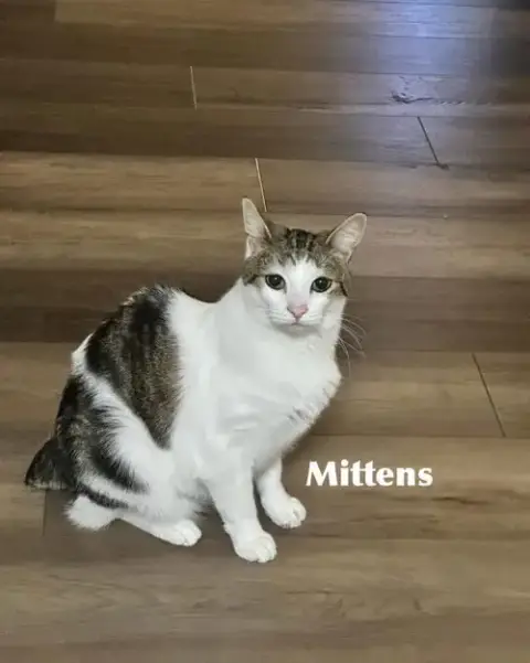 Mittens photo 4