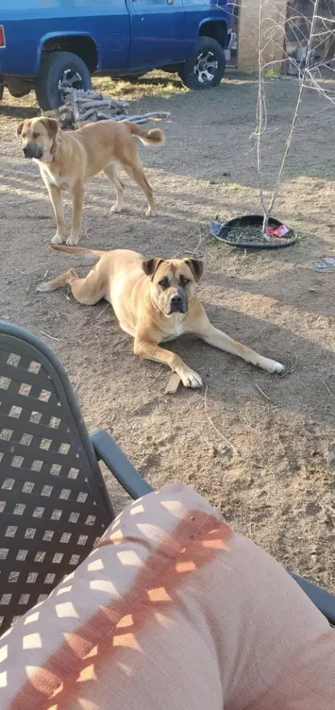 Nala photo 2