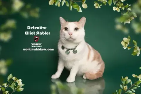 Detective Elliot Stabler