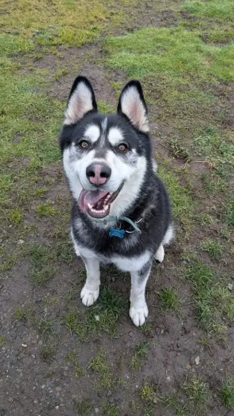 Duke