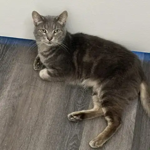 Finn photo 4