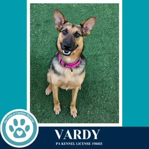 Vardy 041826 photo 2