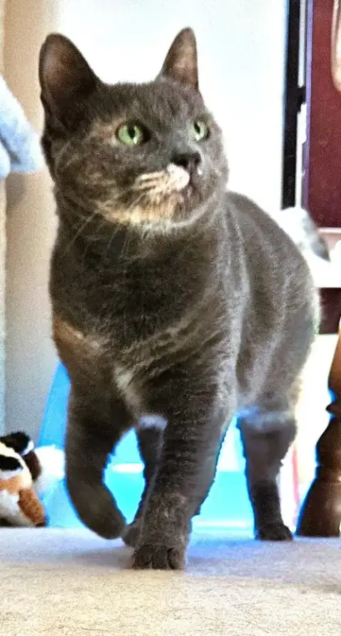 Lil Girl photo 3