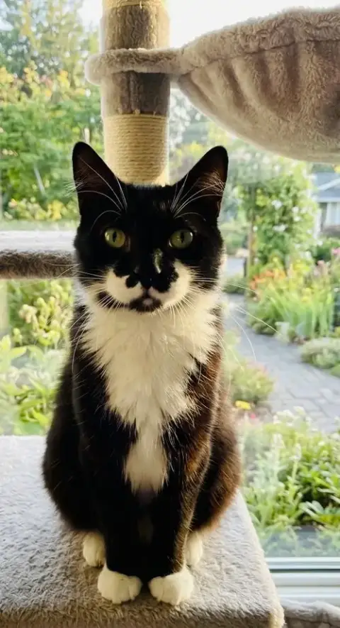 Charlie photo 2