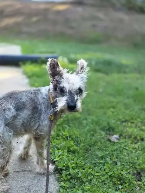Zoe photo 2