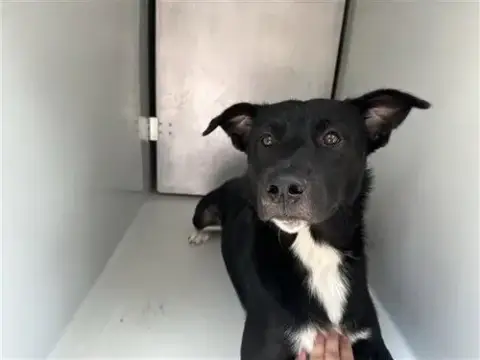 Doug
