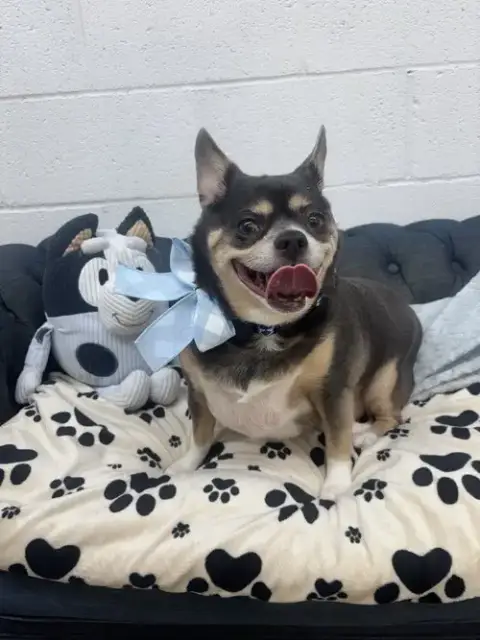 Cooper photo 2
