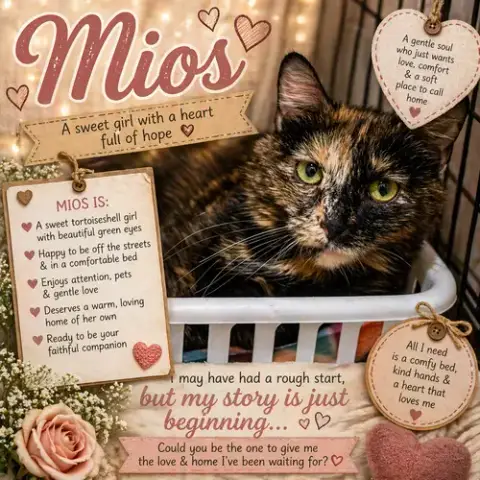 Mios W/Daughter Lulu