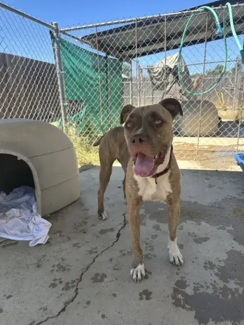 Addie photo 2