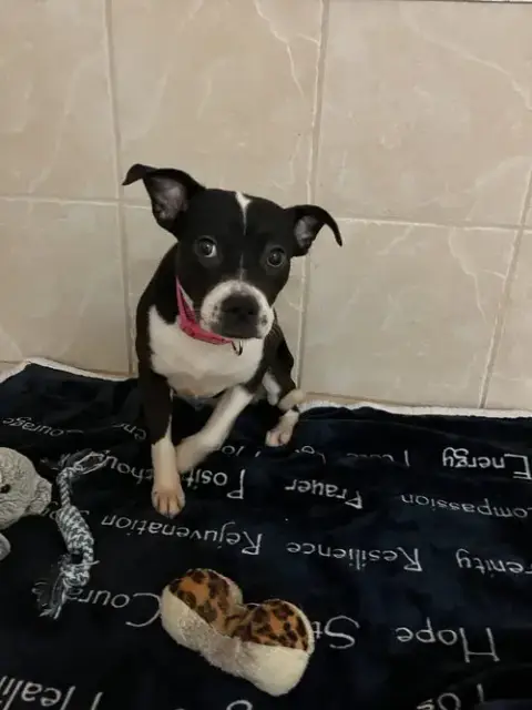 Suzie