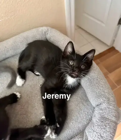 Jeremy