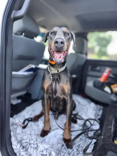 Roscoe